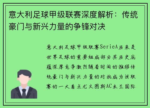 意大利足球甲级联赛深度解析：传统豪门与新兴力量的争锋对决